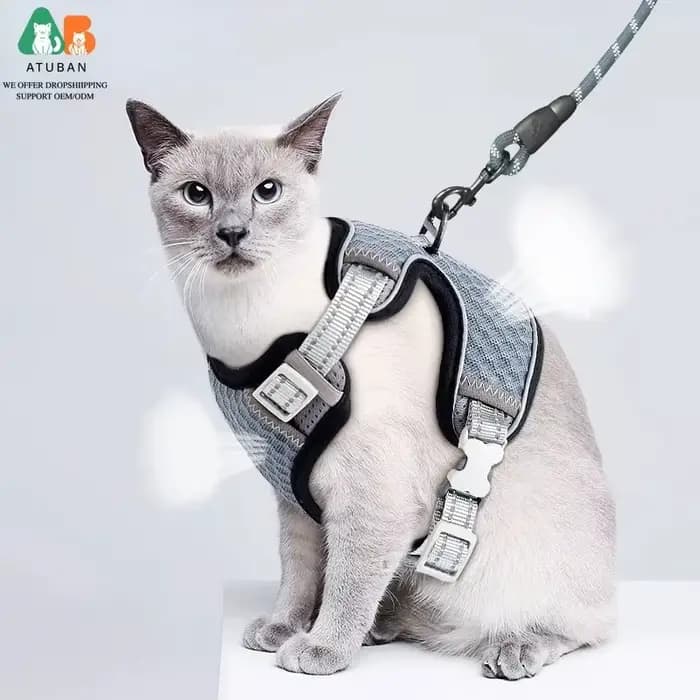 Harnais et laisse pour chat