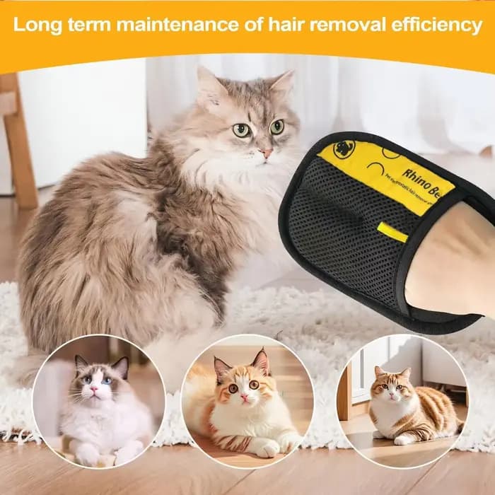 Gants de toilettage pour chat, brosse électrostatique pour enlever les poils d'animaux, pour nettoyer les canapés, les tapis et les vêtements, éliminateur de poils d'animaux double face