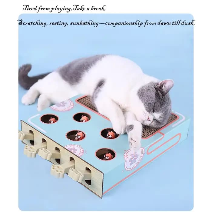 Boîte de jeu 3 en 1 pour chat : Jouet interactif Whack-a-Mole