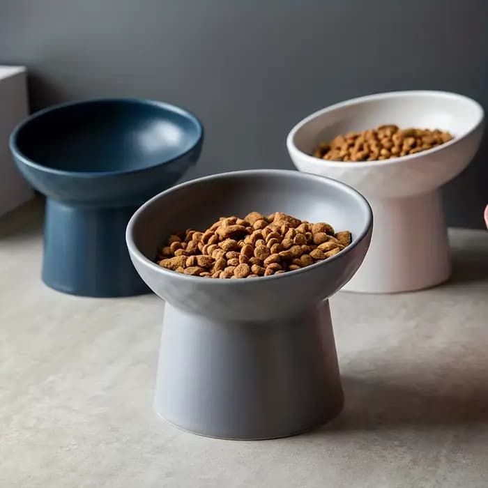 Bol en céramique pour chat, bol surélevé pour animaux de compagnie avec protection du cou, bol anti-étouffement pour chien, accessoires pour chat, fournitures pour animaux de compagnie