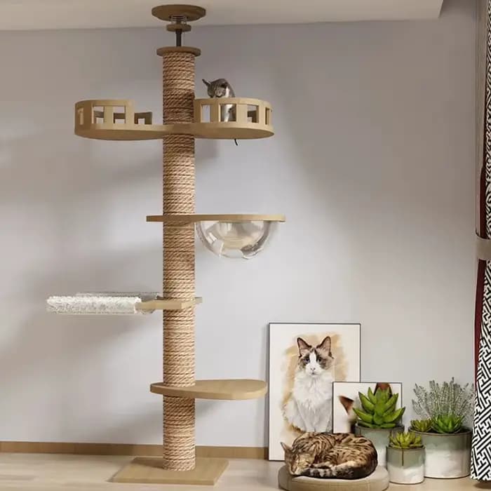 Cadre d'escalade réglable pour chat