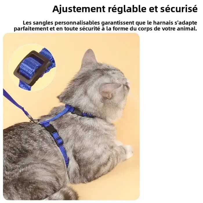 Laisse harnais pour chat