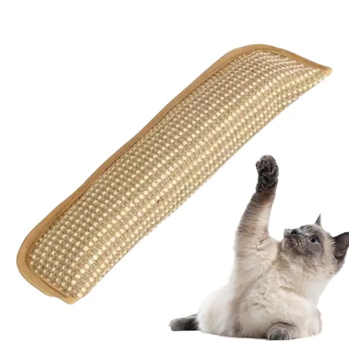 Jouets interactifs pour chat : Griffoir