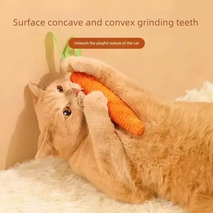 Jouet pour chat avec son