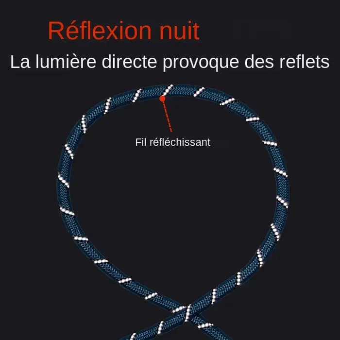CAWAYI KENNEL Laisse en Nylon Réfléchissant pour Chien