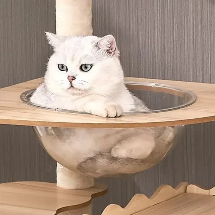 Tour à chat Durable à plusieurs niveaux, grand arbre à chat en bois avec dosette spatiale et postes à gratter, meubles et jouets d'intérieur pratiques pour chats