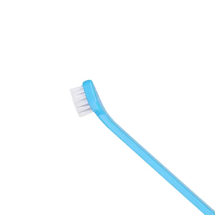 Brosse à dents pour animaux de compagnie