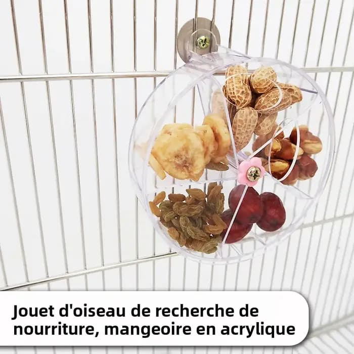 Jouets pour perroquets rotatifs pour animaux de compagnie