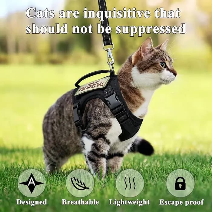 Harnais tactique pour chat