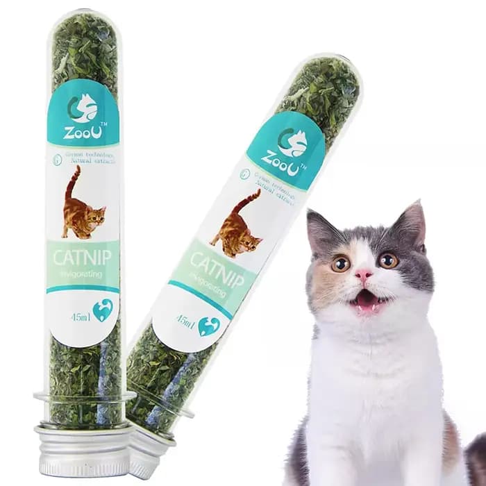 Jouet pour chat interactif en herbe