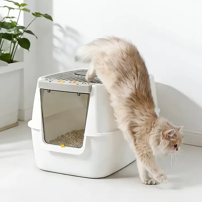 Nouvelle Litière pour Chat Grande Taille Entièrement Fermée avec Couvercle Rabattable
