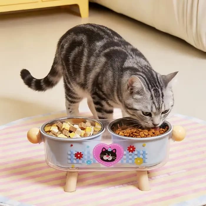 Bol surélevé pour chat en acier inoxydable anti-fuite