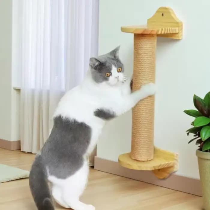 Corde en Sisal pour arbres à chat