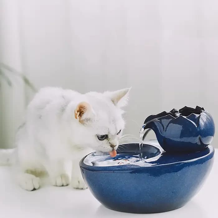 Fontaine à boire automatique pour animaux de compagnie