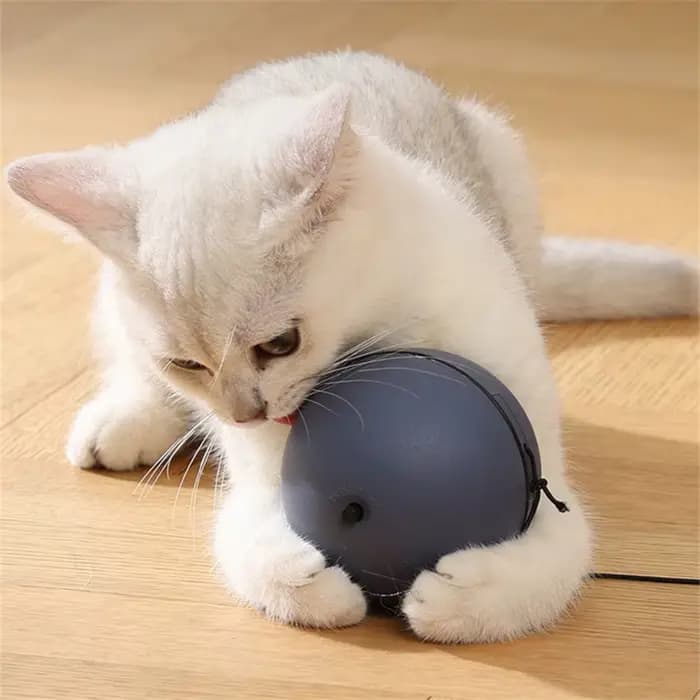 Balle jouet interactive pour chat «à piles » avec souris de suivi - Teaser roulant automatique pour toutes les races
