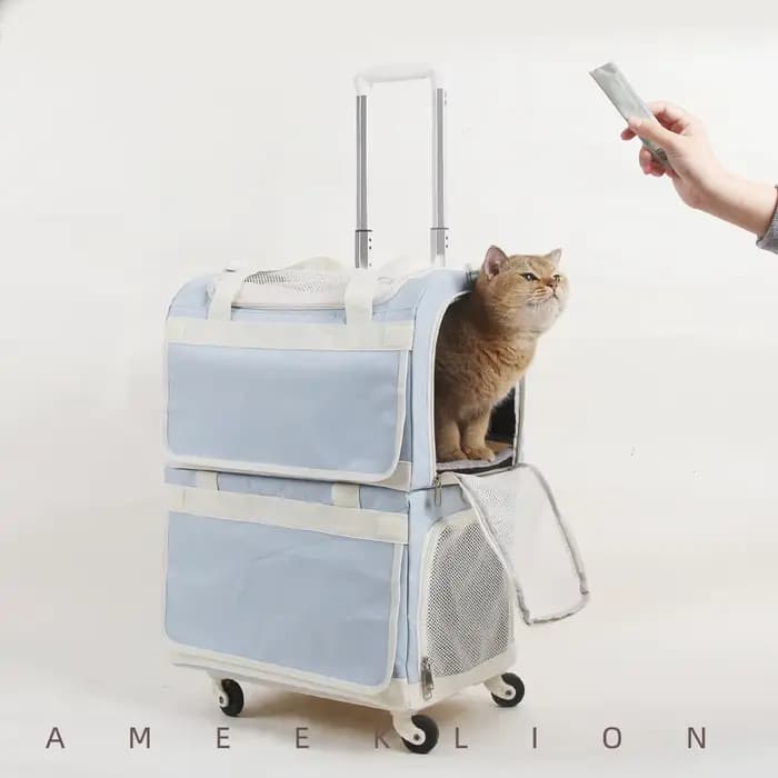 Sac de transport portable double couche pour animaux de compagnie, respirant, pour chat et chien, avec grande capacité, idéal pour les voyages et les sorties en extérieur