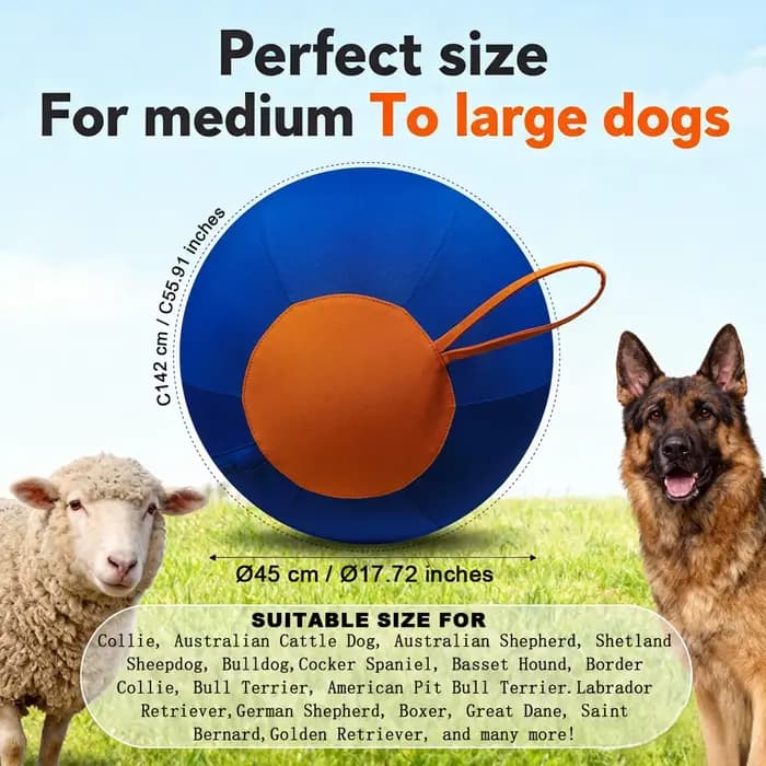 Balle interactive pour grands chiens