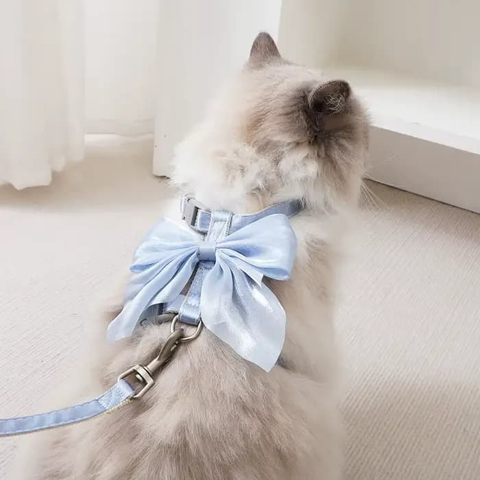 Harnais réglable pour animaux de compagnie avec corde de Traction pour chaton chiot lapin furet mignon chat