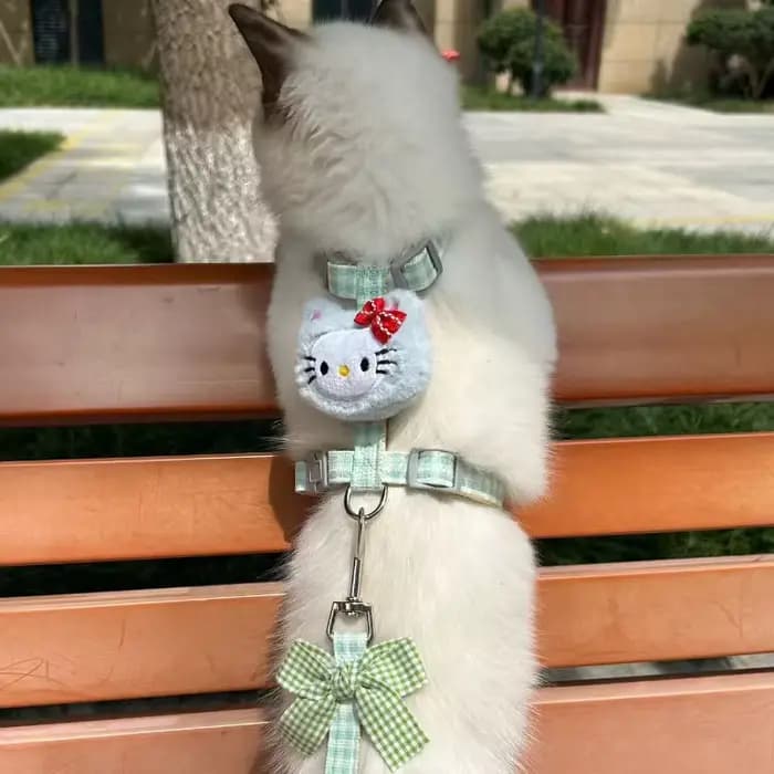 Ensembles de harnais et de laisse pour chat Hello Kitty avec corde de 150 cm, harnais réglable pour chien, sangle respirante pour promenade, accessoire pour chat