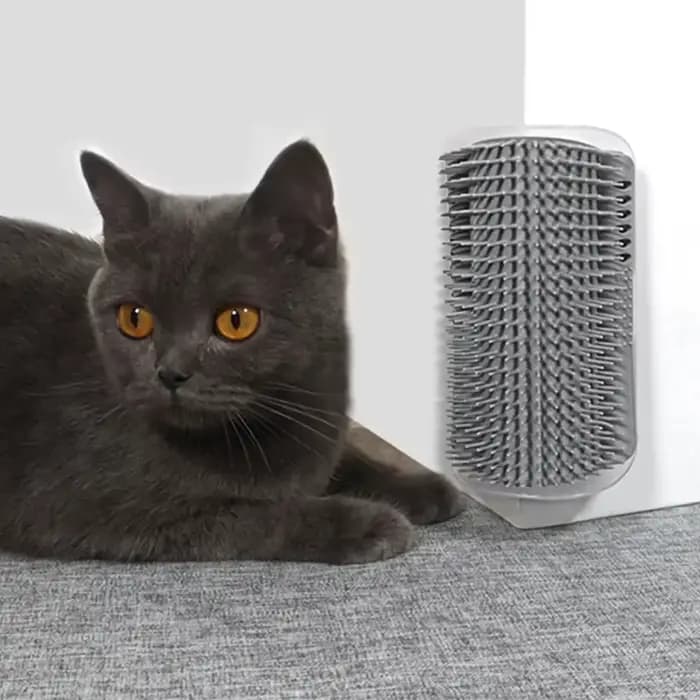Brosse de coin massante et griffoir pour chat