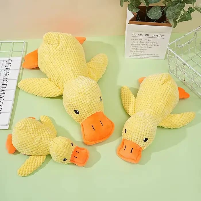 Jouet en peluche pour animaux de compagnie