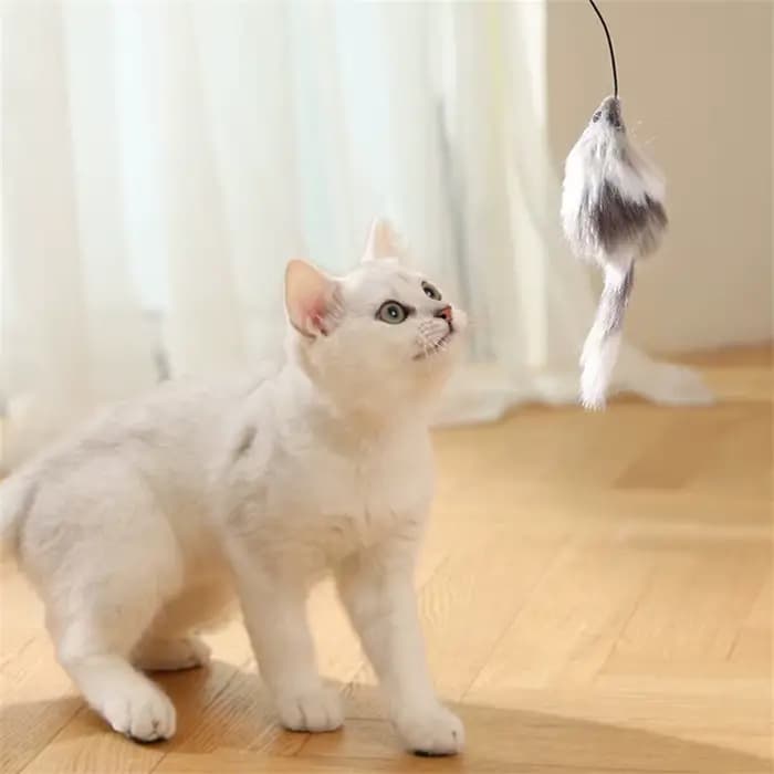 Balle jouet interactive pour chat «à piles » avec souris de suivi - Teaser roulant automatique pour toutes les races