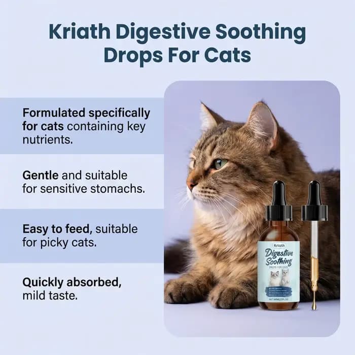 Gouttes apaisantes pour la digestion des chats