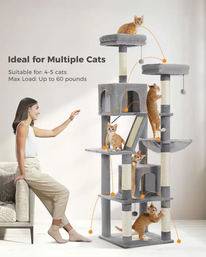 Grand arbre à chat pour intérieur
