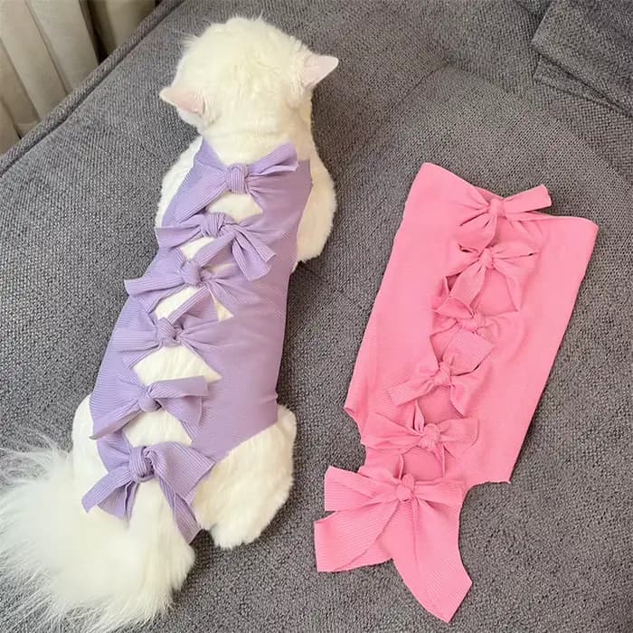 Combinaison de récupération chirurgicale pour chat