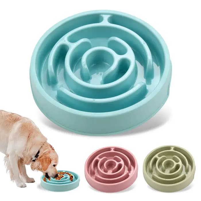 Bol d'alimentation lente pour chien de compagnie