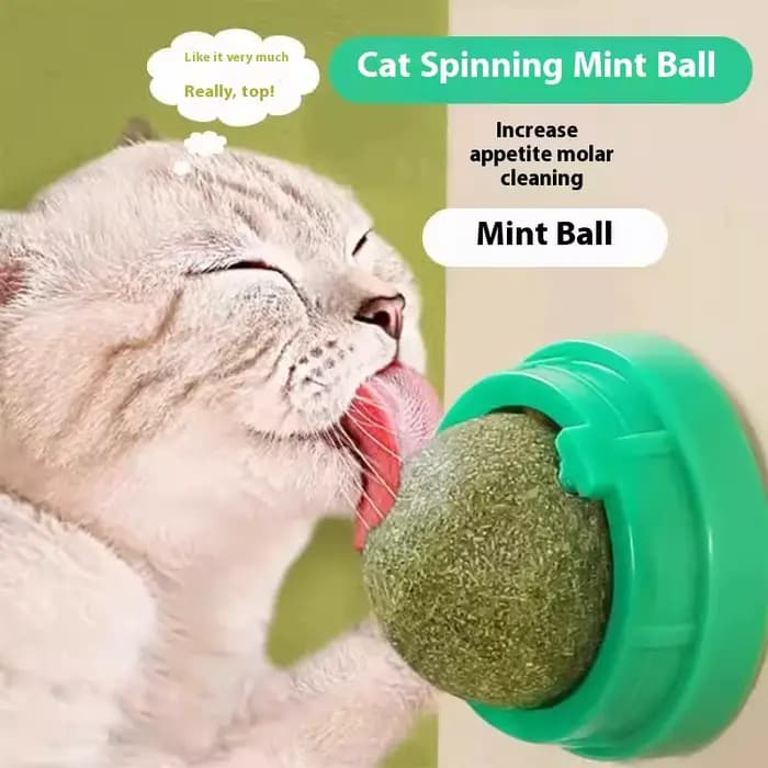 Boule d'herbe à chat, jouet pour chat