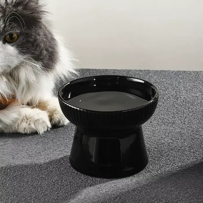 Bol en céramique pour chat