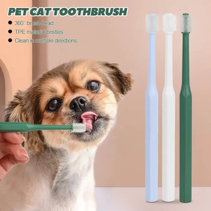 Brosse à dents pour chat