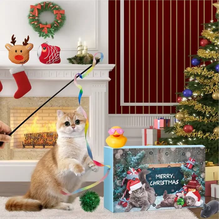 Calendrier de l'avent jouet pour chat 2025