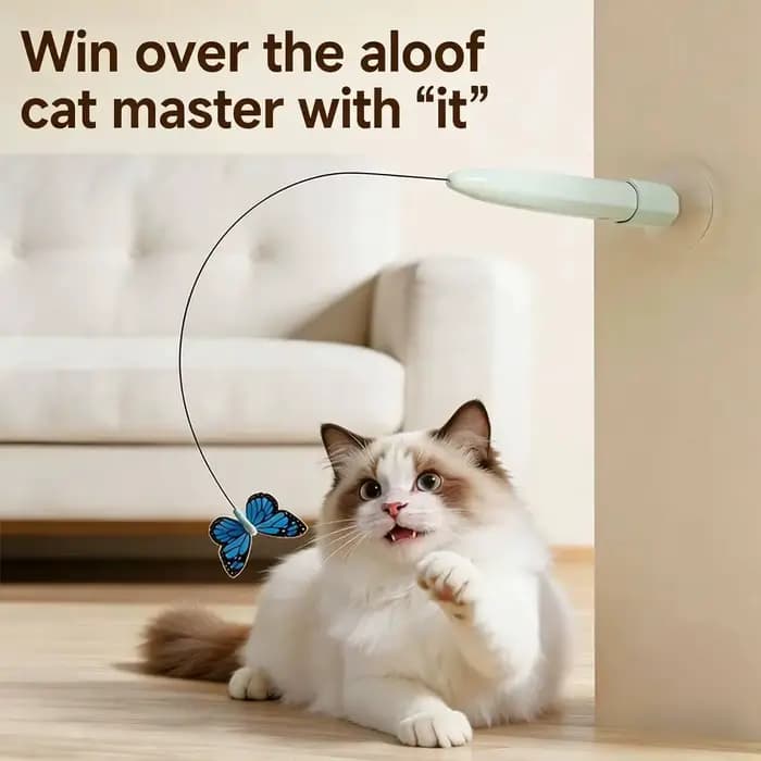 Jouet électrique papillon volant pour chat