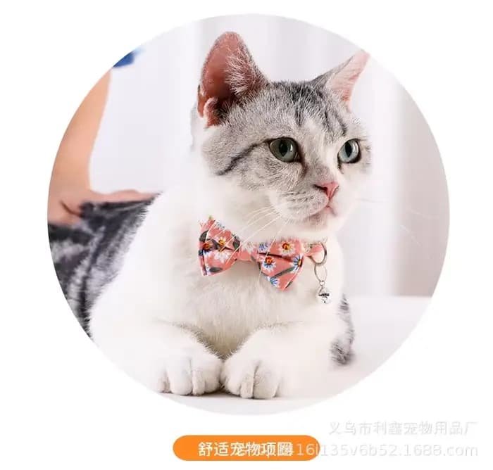 Collier pour chat détachable avec nœud papillon mignon et cloche