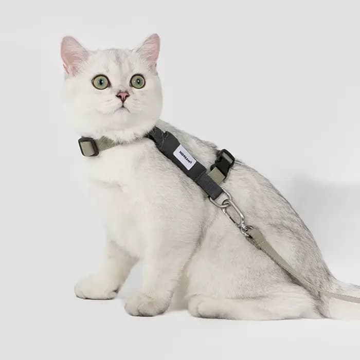 Harnais et laisse anti-évasion en forme de I pour chat HiDREAM – Contrôle facile sans étranglement pour la promenade en extérieur – Gilet anti-torsion pour chats