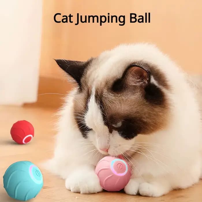 Jouets intelligents pour chat