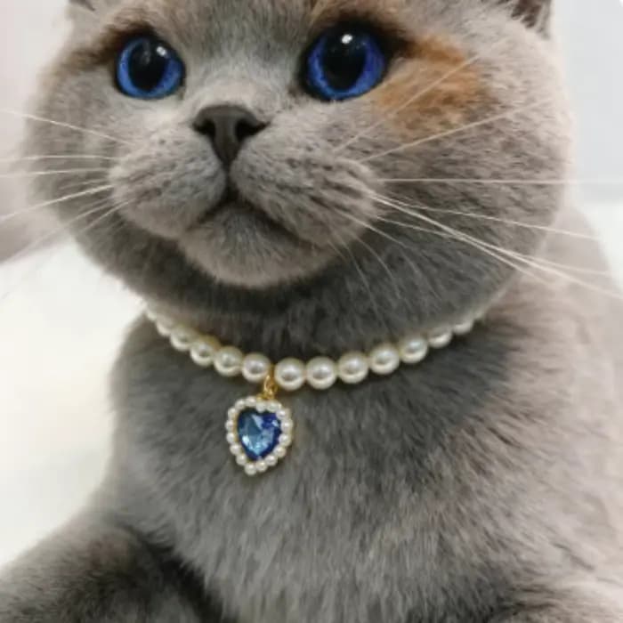 Collier de chat réglable et mignon, avec perles de haute Simulation, pour chatons, collier pour animaux de compagnie, décoration de cou, fournitures pour animaux de compagnie
