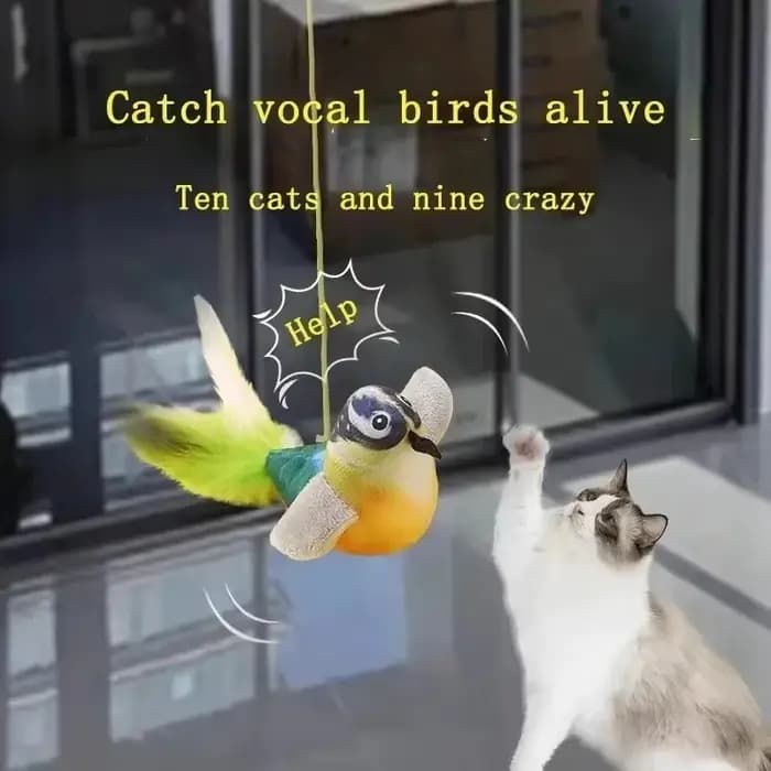 Jouet pour chat qui imite le son d'un oiseau, amuse le chat, amuse-t-il soi-même, soulage l'ennui, corde élastique résistante aux griffures et aux morsures, nouveauté
