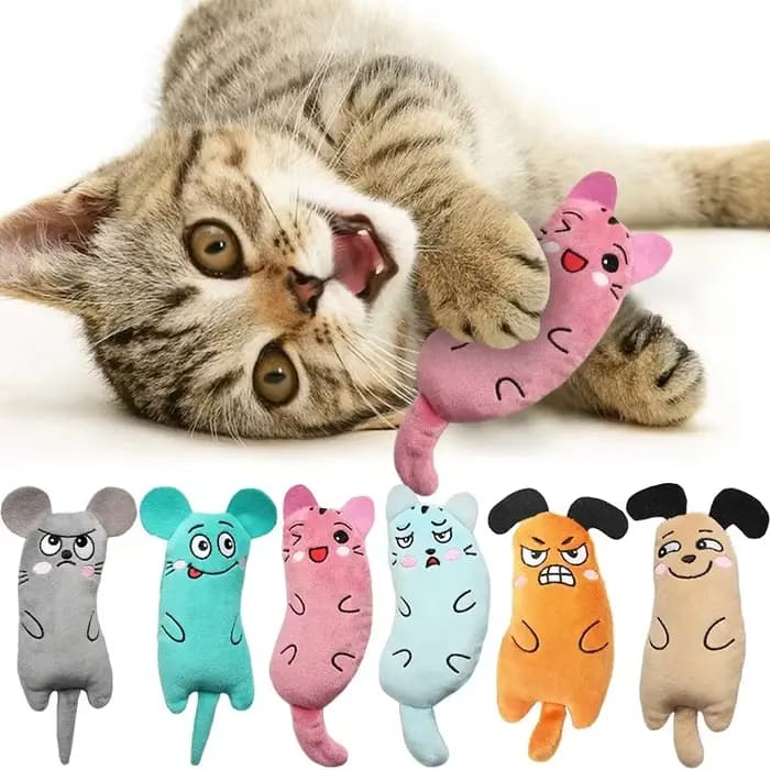 Jouet à mâcher pour chaton