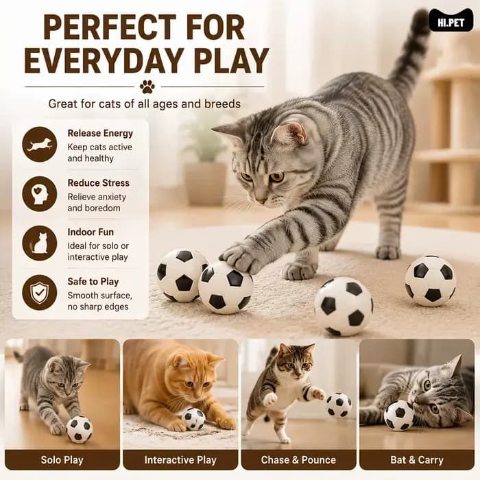 Lot de 4 jouets de football pour chat : balle rebondissante interactive pour chatons et chats adultes – Le jouet de divertissement intérieur idéal