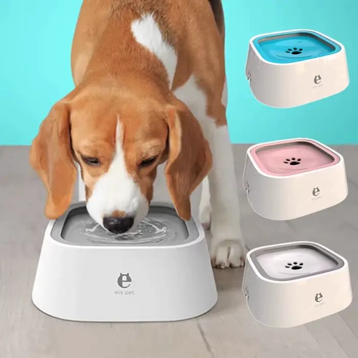 Bol d'eau potable pour chien