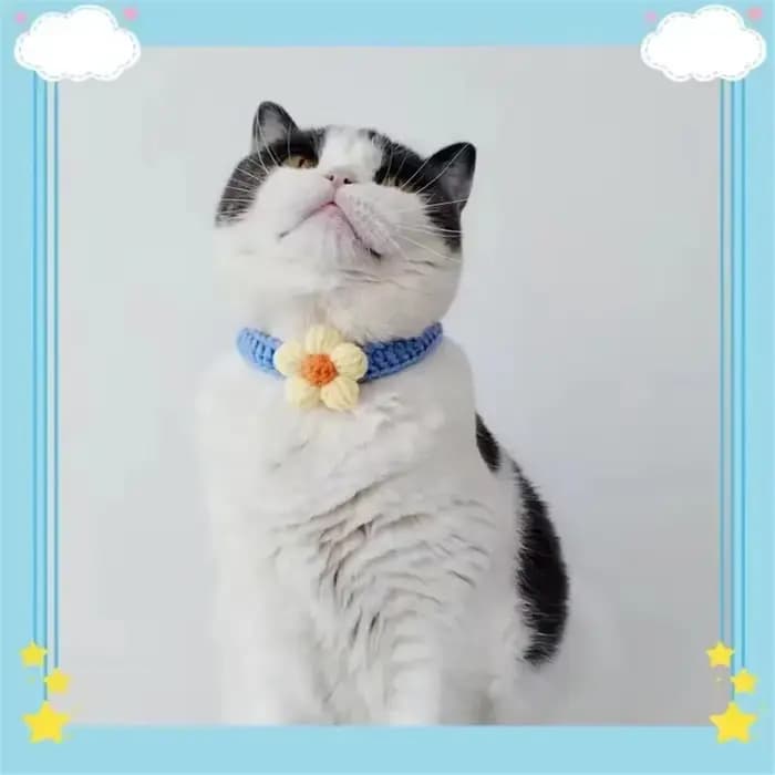 Collier en laine réglable en Crochet pour chien et chat
