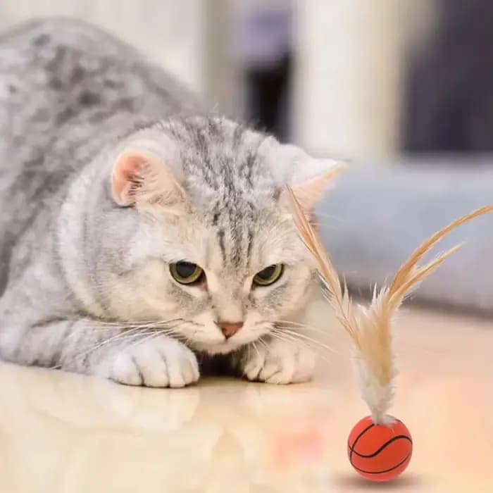 Balle interactive auto-amusante pour chat, balle rebondissante en plumes d'intérieur, balle de flutter pour animaux de compagnie à rebond élevé, accessoires pour animaux de compagnie