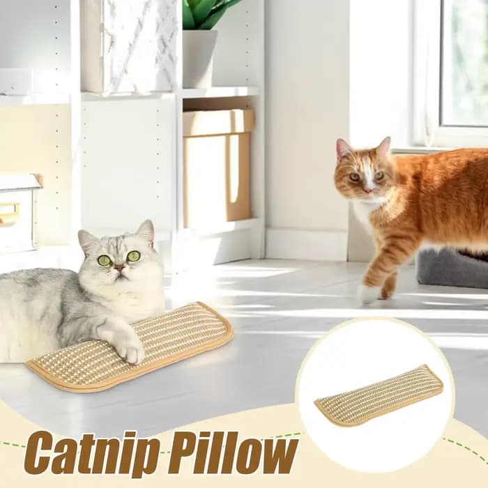 Jouets interactifs pour chat : Griffoir