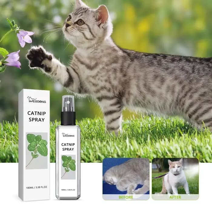 Spray naturel d'herbe à chat pour chats