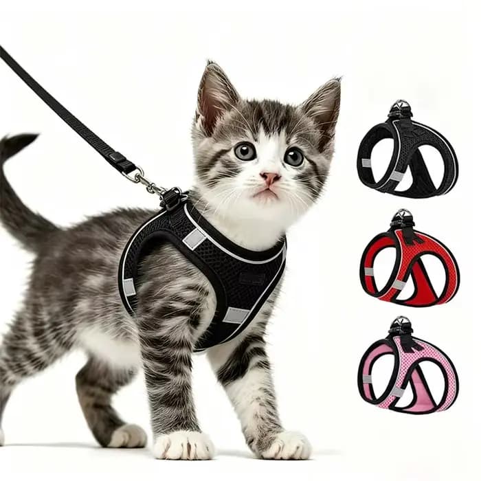 Ensemble de 2 harnais et laisses anti-évasion pour chat avec gilet en filet souple réfléchissant