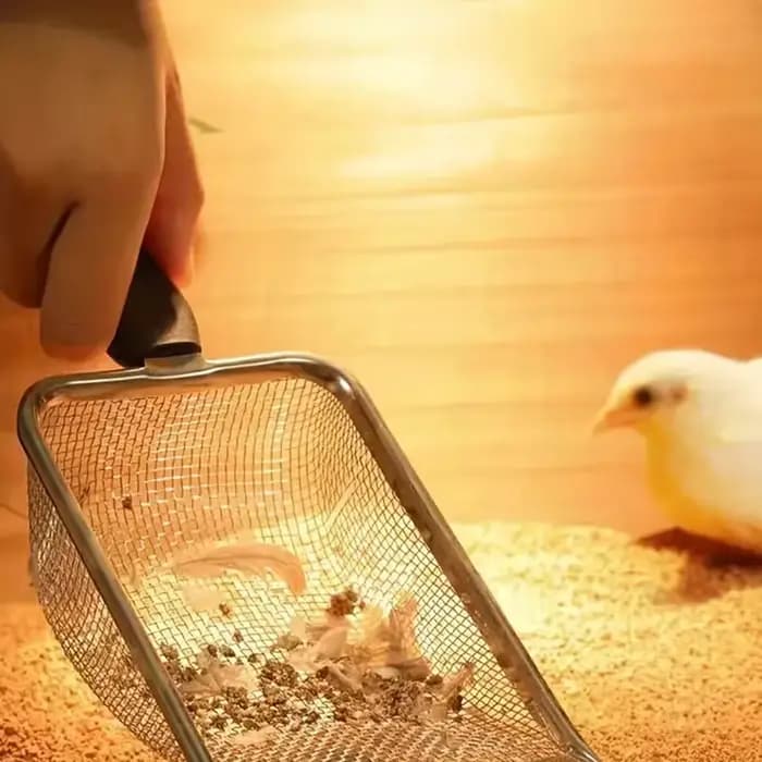 Ramasse-litière en acier inoxydable durable - Ergonomique et facile à nettoyer pour chats et chiens