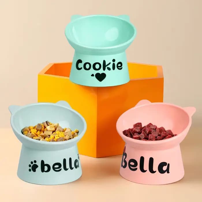 Bol de nourriture personnalisé pour chat, pied haut, pour chien et chat, impression gratuite, nom d'animal de compagnie, bols d'eau, tasse d'alimentation pour animaux de compagnie, accessoires pour ch
